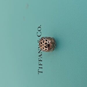 Chamilia Clasp Charm